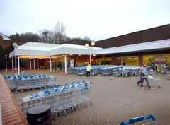 Tesco Hollington 2008-01-04